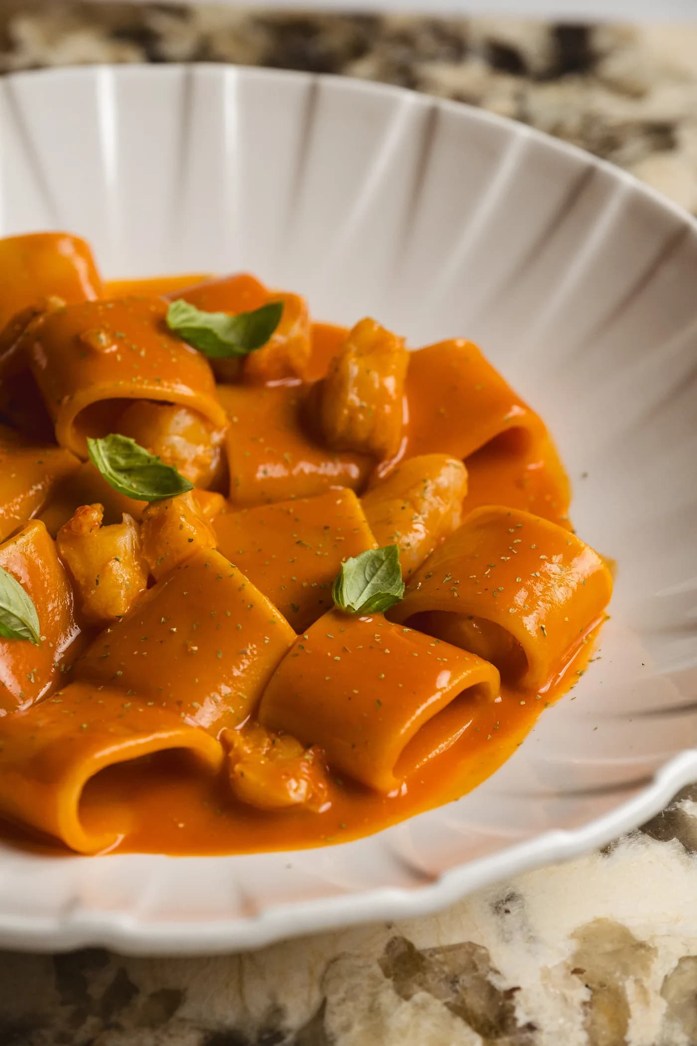 Paccheri al sugo di pesce serviti in un piatto bianco da Morus.