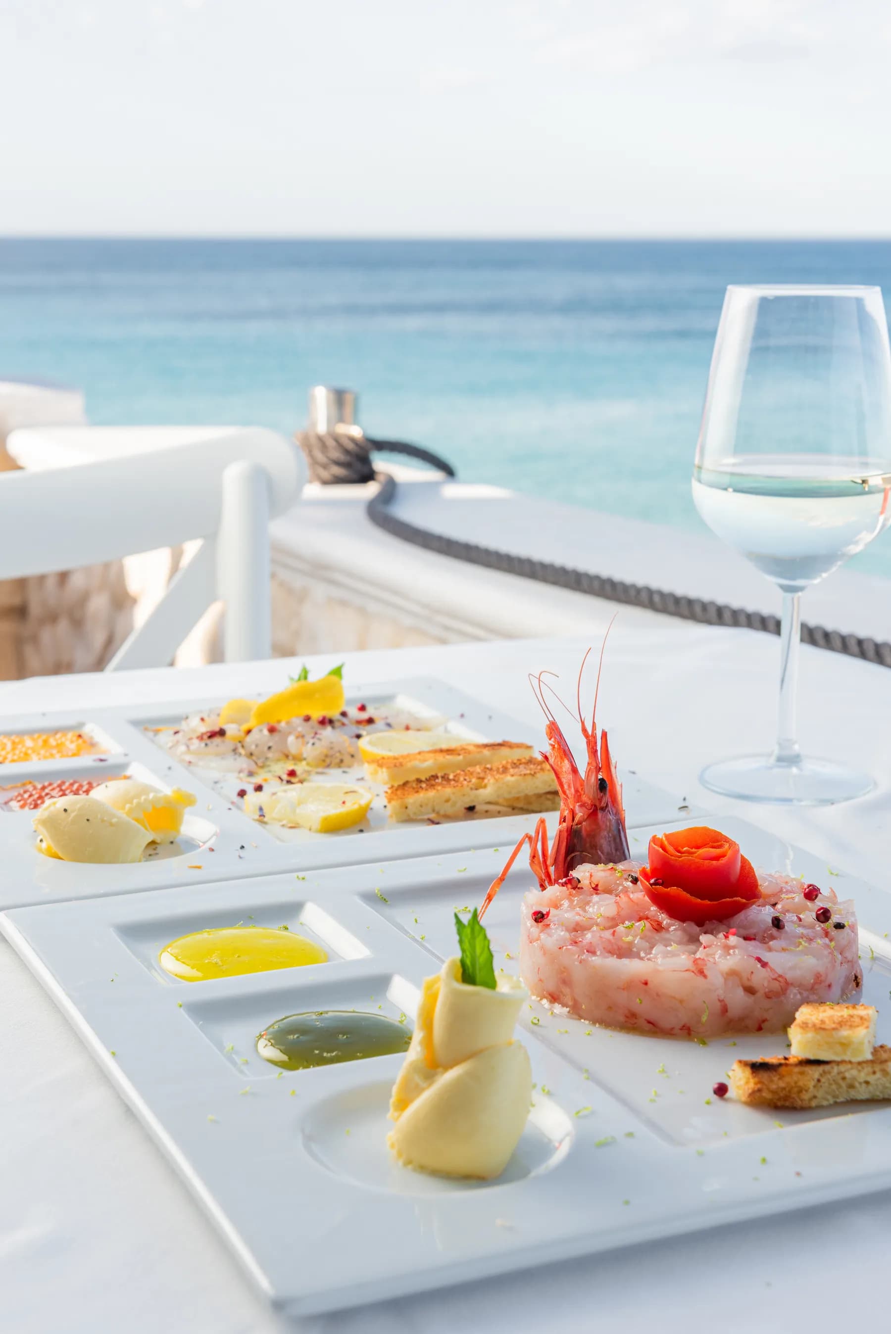 Carpaccio e tartare su piatto bianco con vista mare.